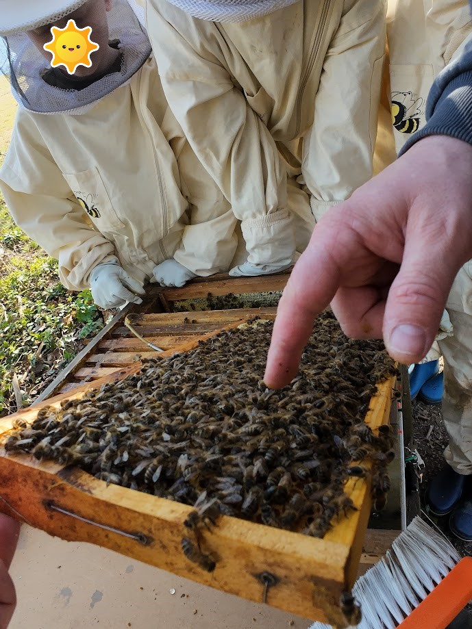 dji_mimo_20250328_125848_0_1743168239453_photo~2